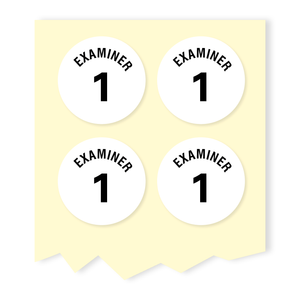 Labels & Fault Markers